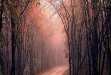 B体育娱乐-马德里竞技取得胜利，延续不败战绩