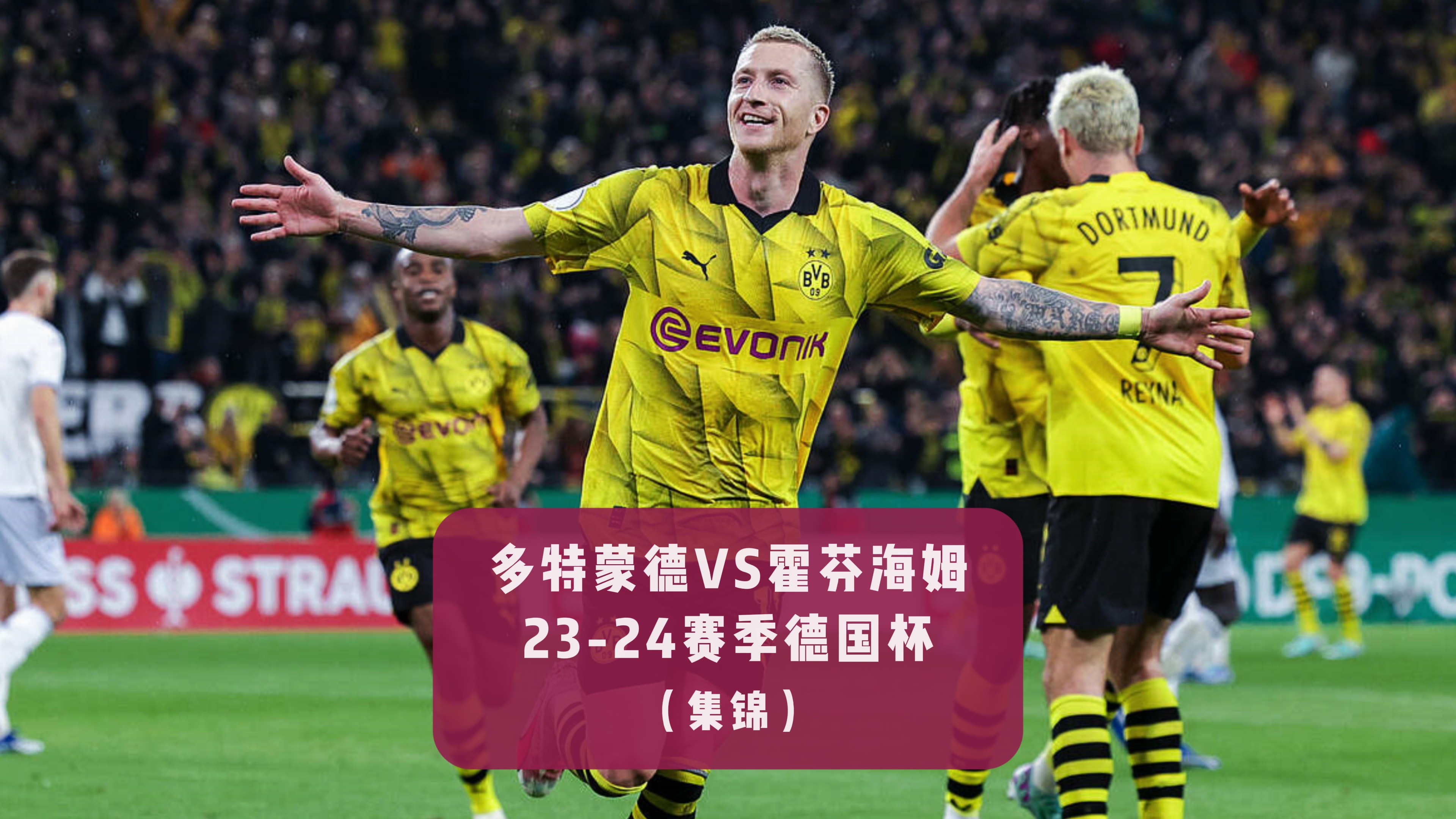 霍芬海姆主场告捷，实现近期连胜